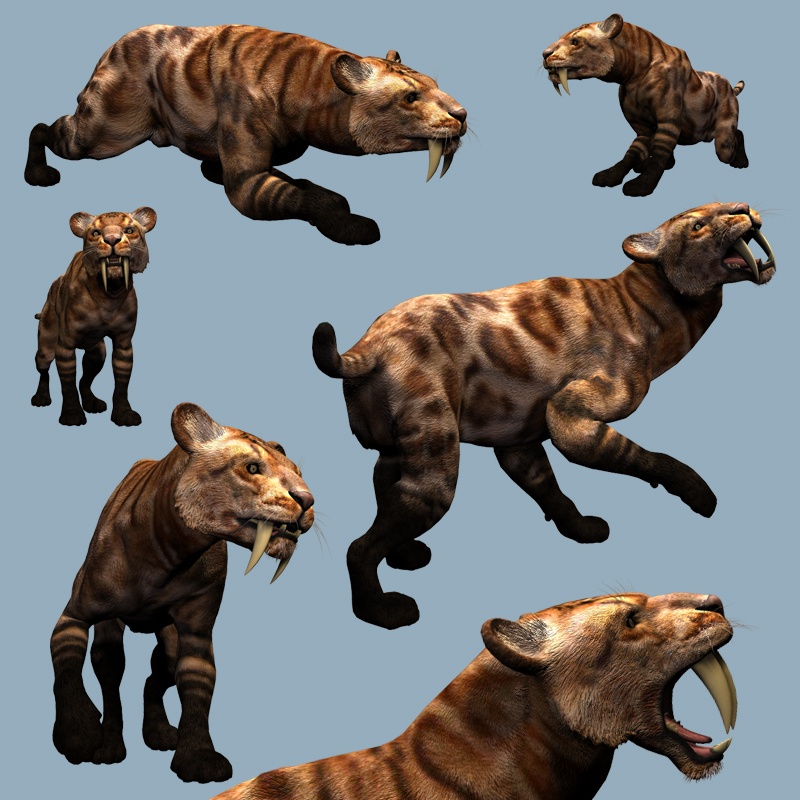 SmilodonDR by N/A