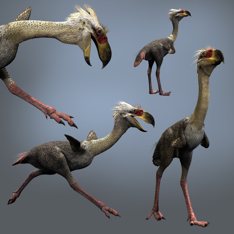 PhorusrhacosDR by N/A