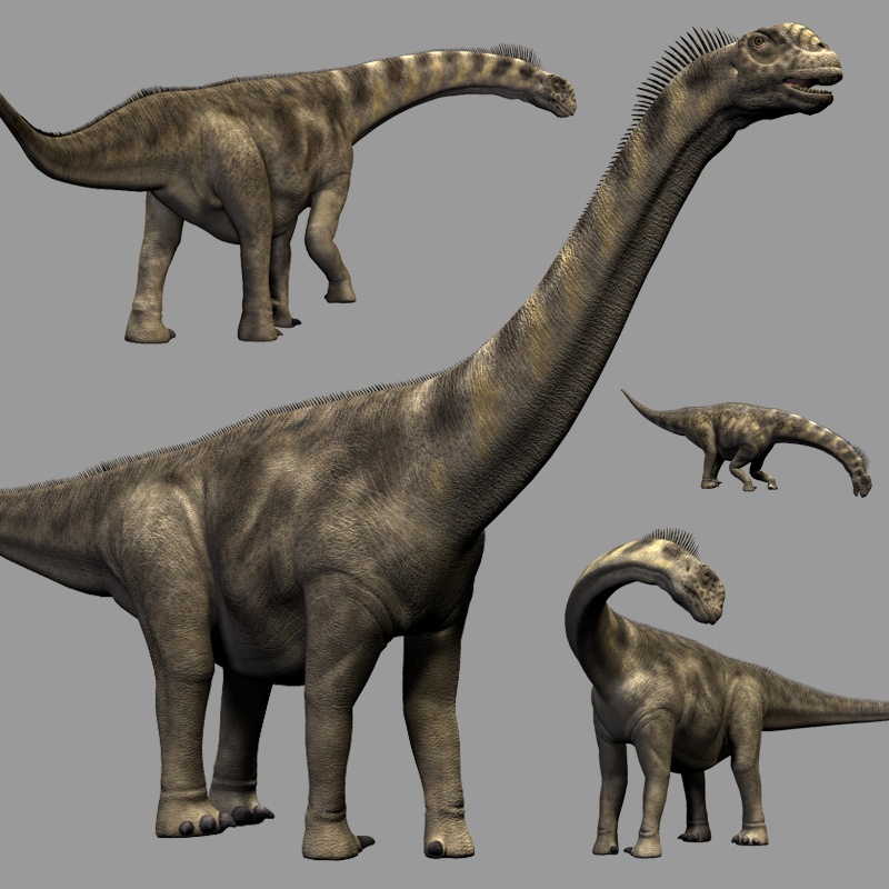 CamarasaurusDR by N/A