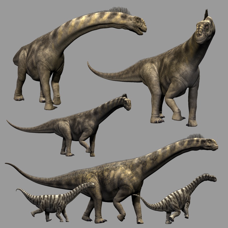 CamarasaurusDR by N/A