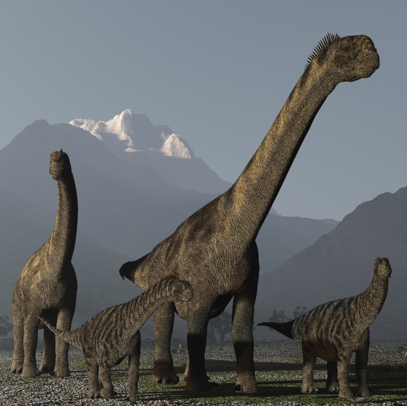 CamarasaurusDR by N/A