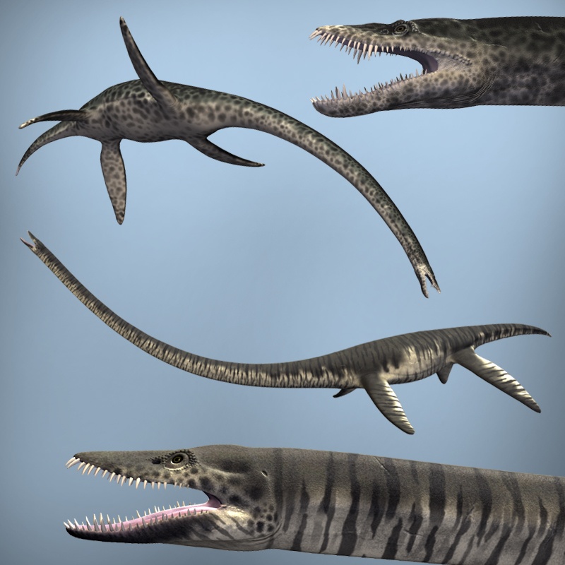 ElasmosaurusDR-StyxosaurusDR by N/A