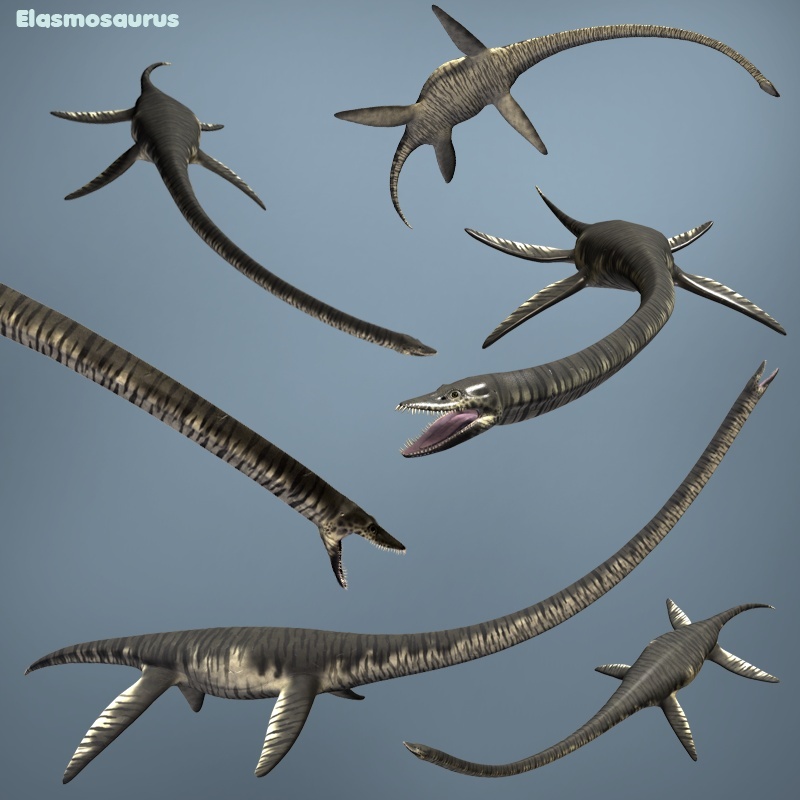 ElasmosaurusDR-StyxosaurusDR by N/A