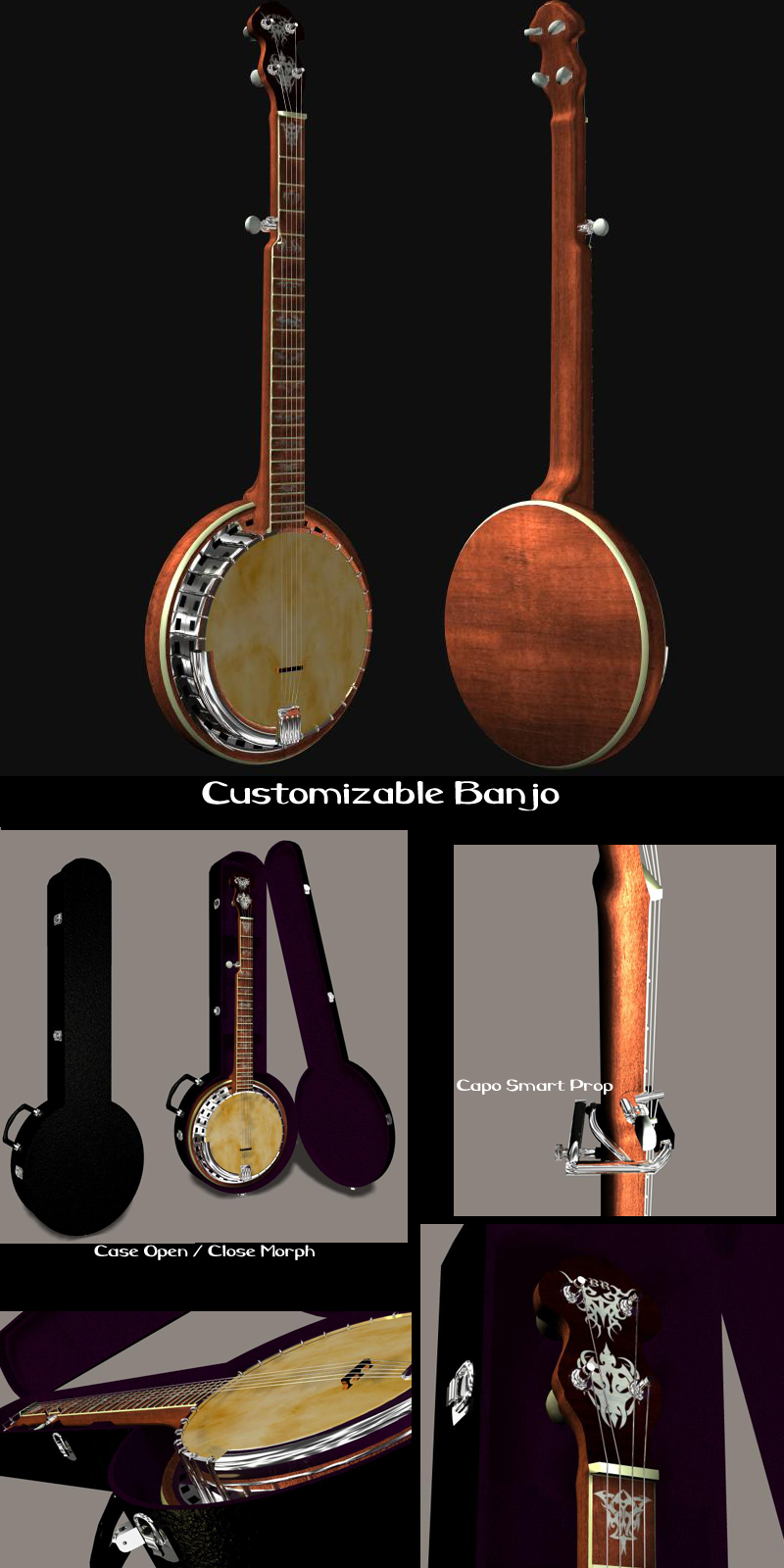 Custom Banjo by N/A