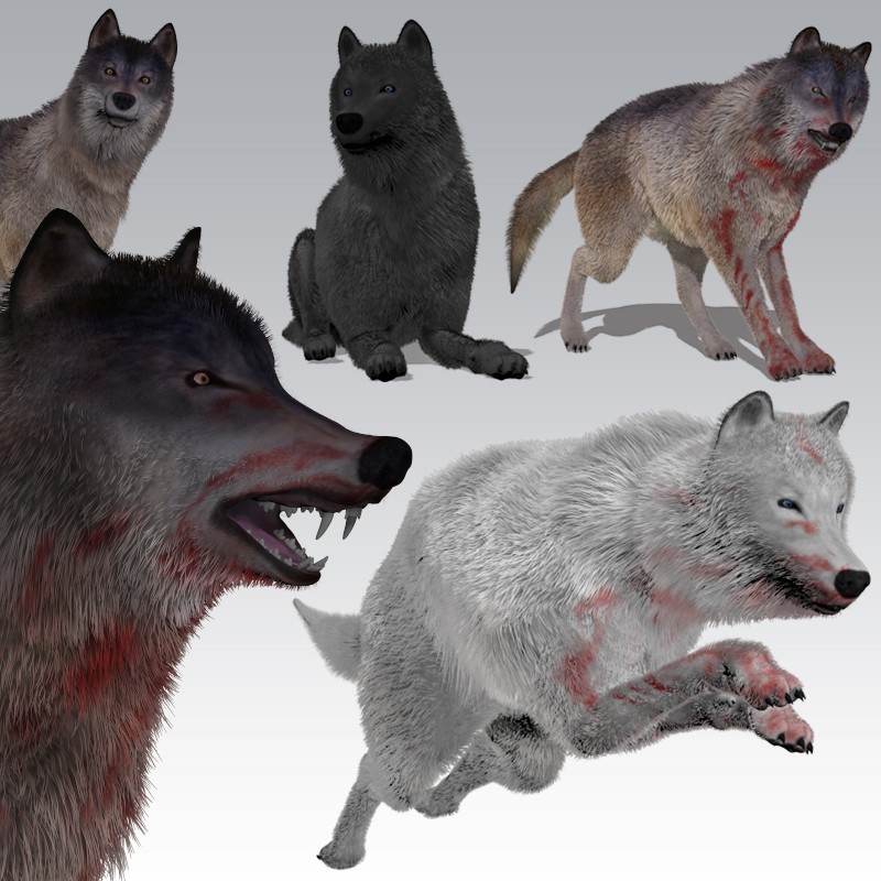 Wolf for Poser Expansion Pack by AM by N/A