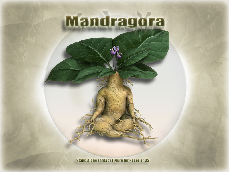 Mandragora by N/A