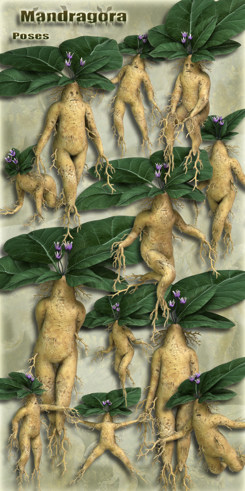 Mandragora by N/A