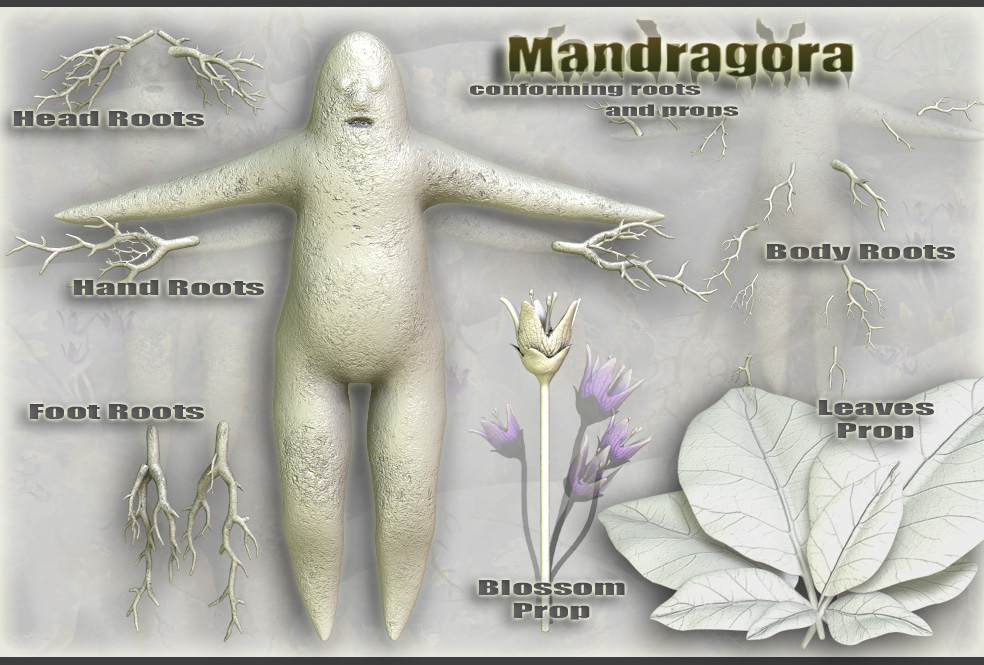Mandragora by N/A