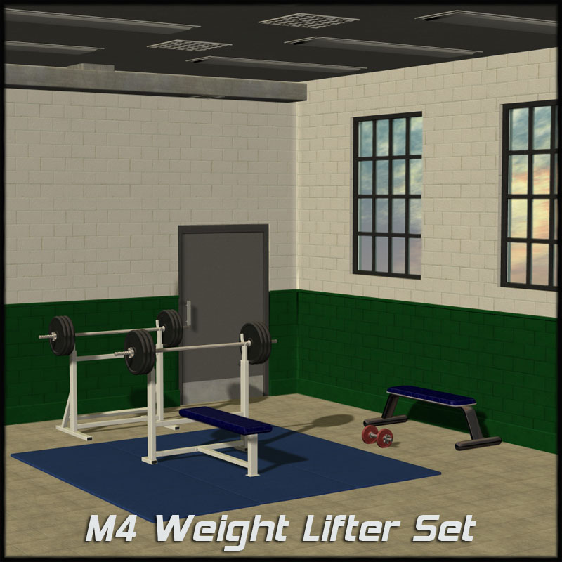 M4 Weight Lifter Set by N/A