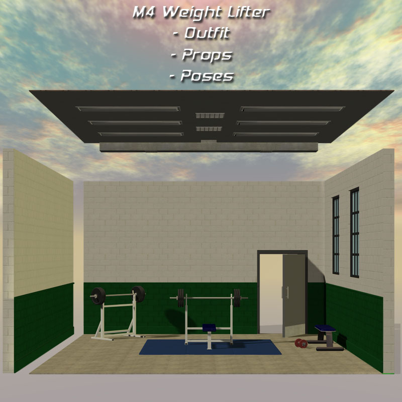 M4 Weight Lifter Set by N/A