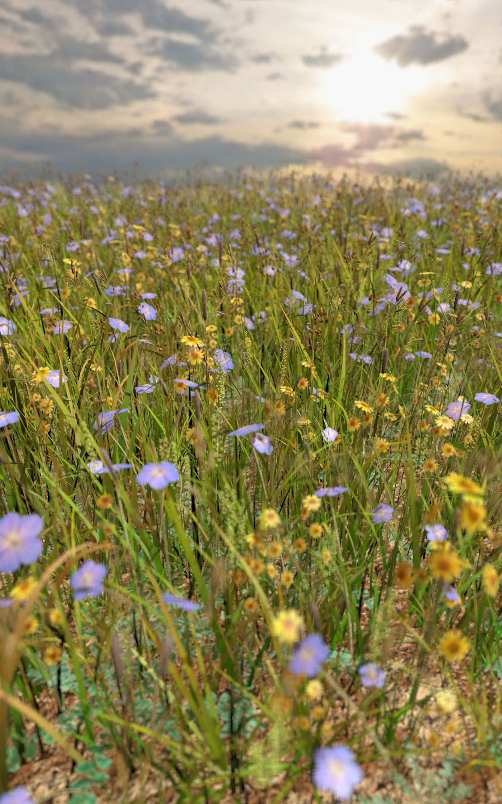 Flinks Instant Meadow Complete by N/A