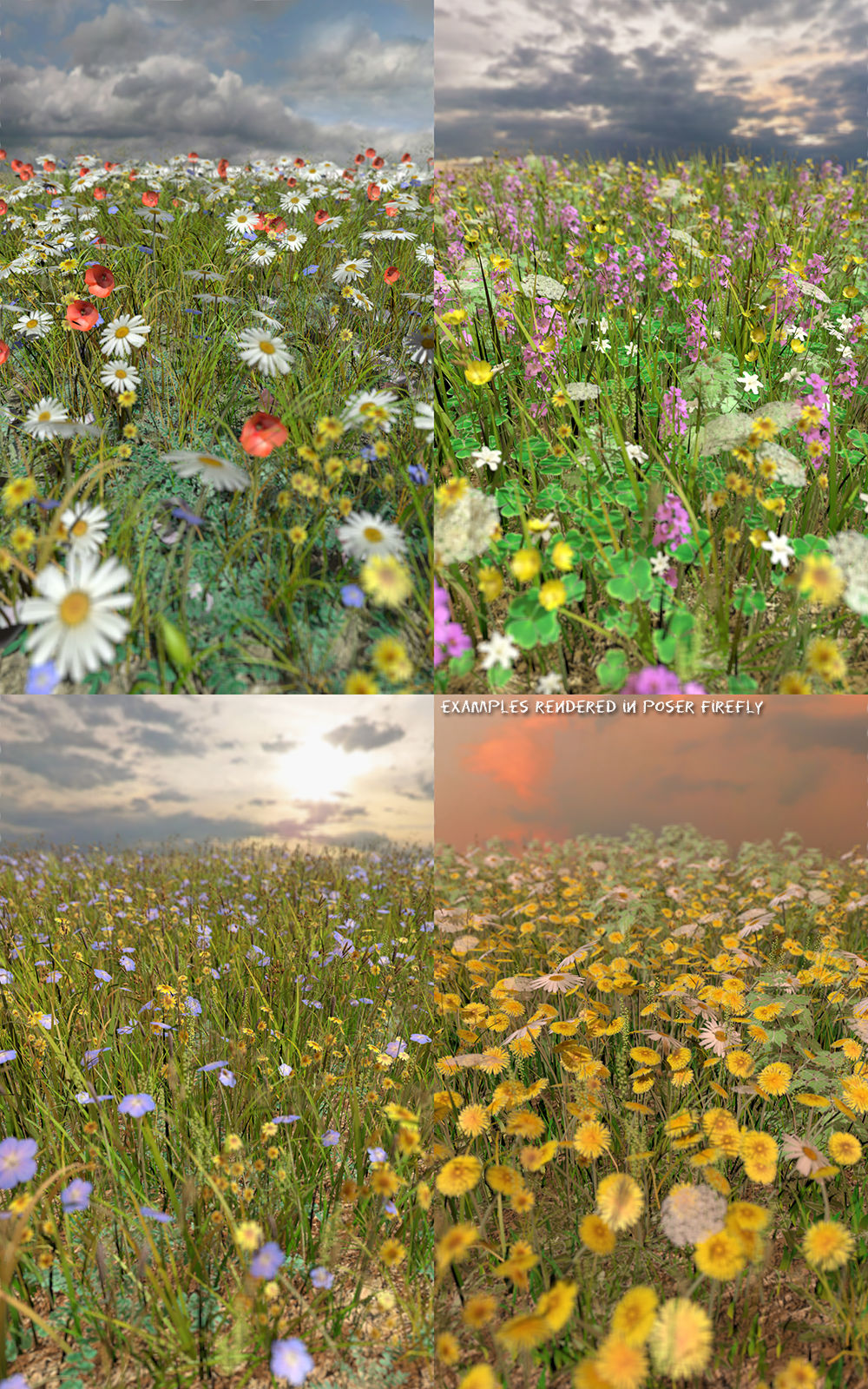 Flinks Instant Meadow Complete by N/A