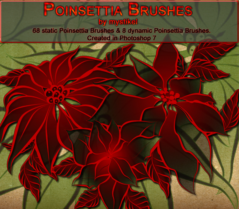 Poinsettia Brushes by N/A