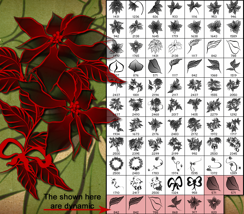 Poinsettia Brushes by N/A