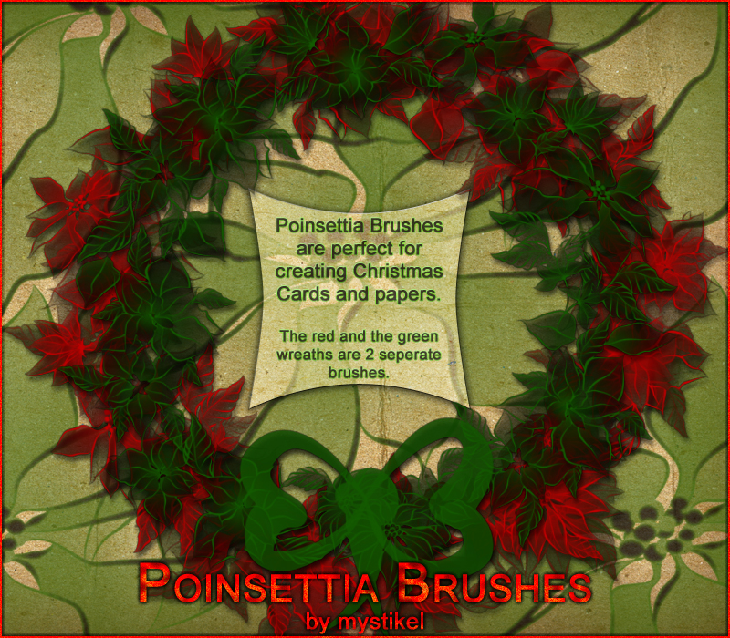 Poinsettia Brushes by N/A