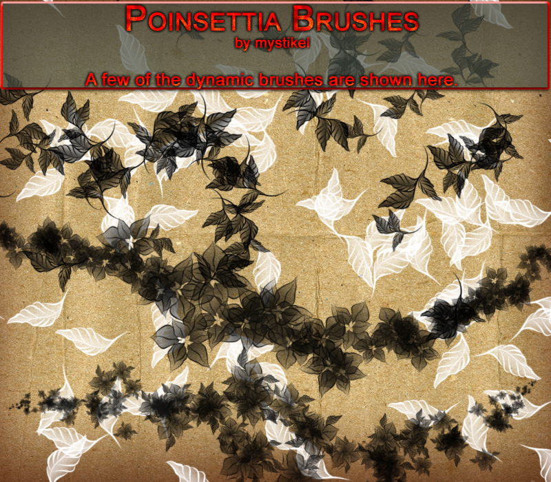 Poinsettia Brushes by N/A