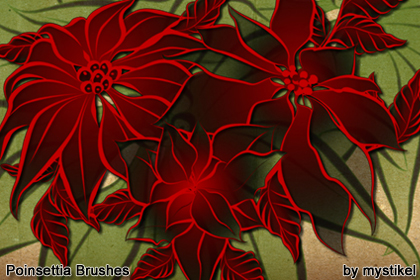 Poinsettia Brushes by N/A