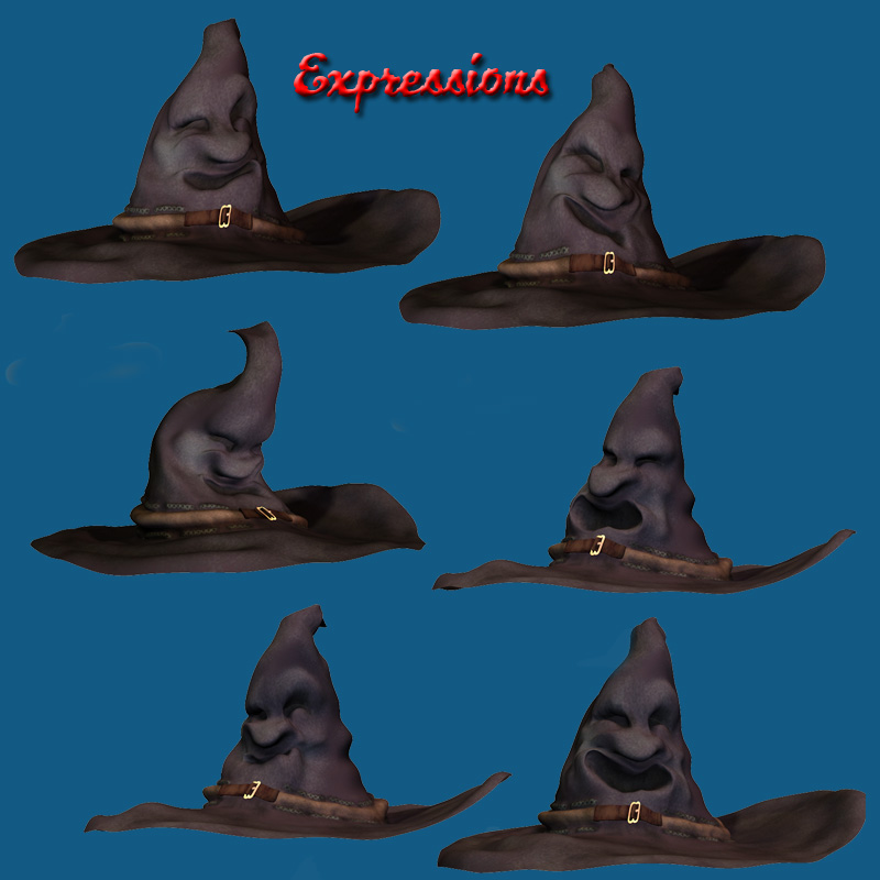The Magic Witch Hat by N/A