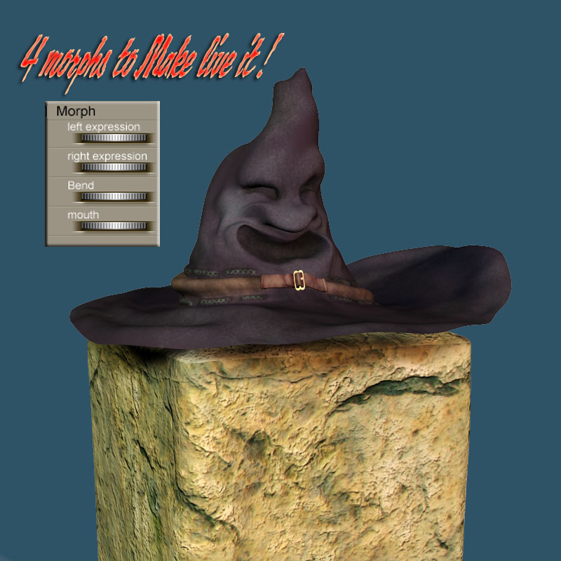 The Magic Witch Hat by N/A