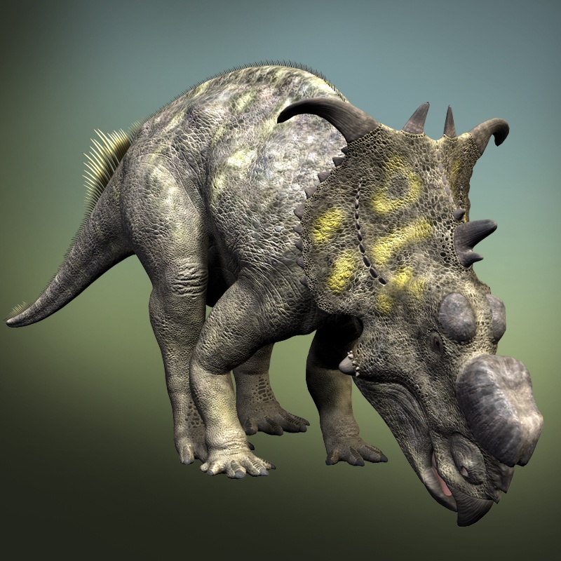 PachyrhinosaurusDR by N/A
