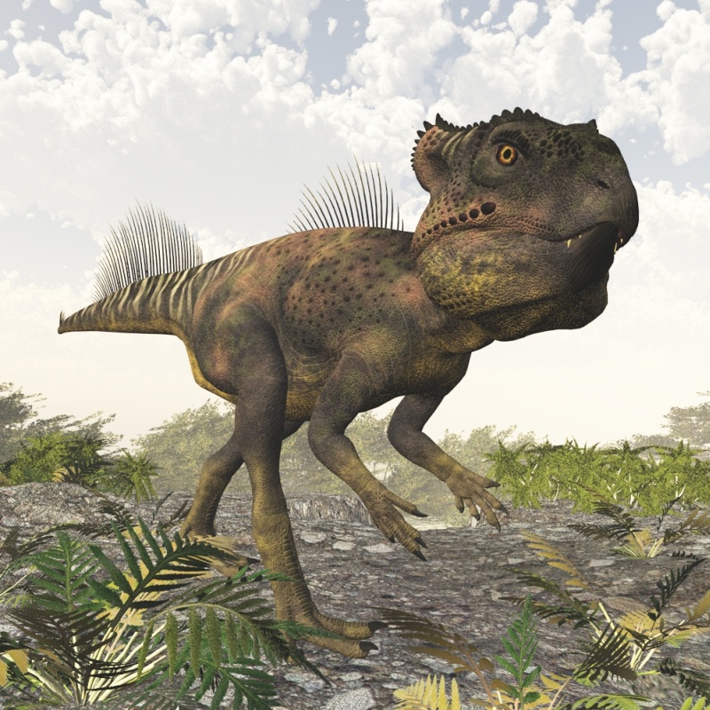 ArchaeoceratopsDR by N/A