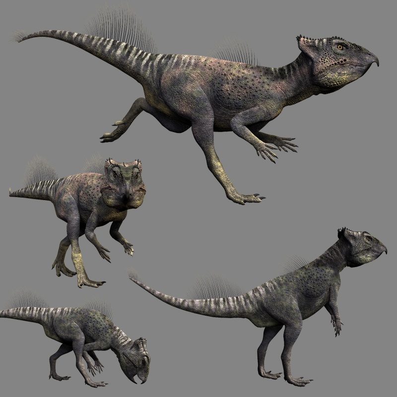 ArchaeoceratopsDR by N/A