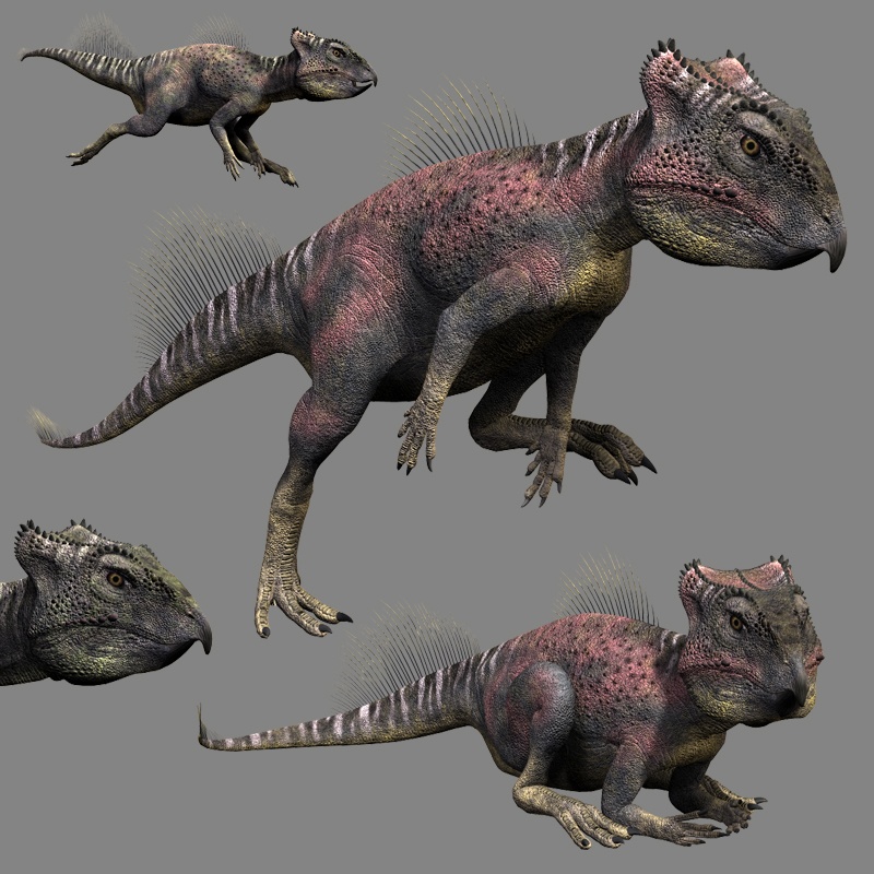 ArchaeoceratopsDR by N/A