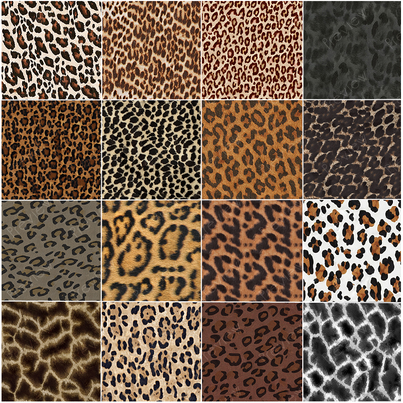FS Animal Prints Merchant Resource by N/A