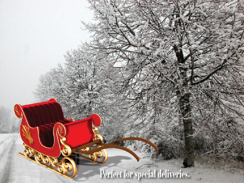 AW Sleigh Ride by N/A