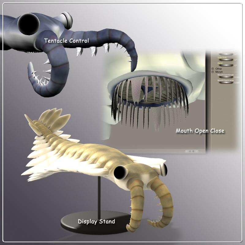 Anomalocaris by N/A