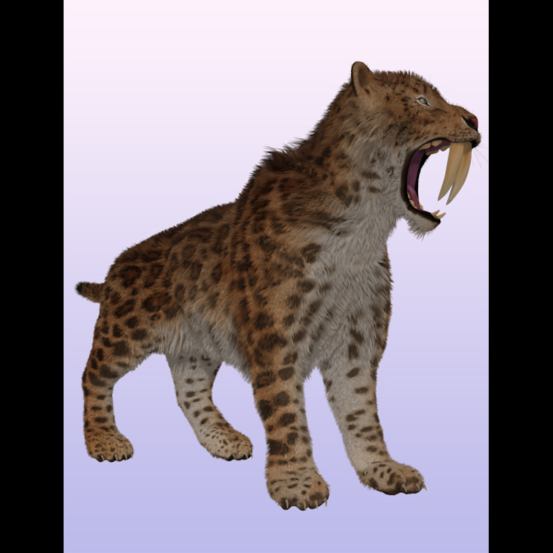 SaberTooth Reloaded by AM by N/A