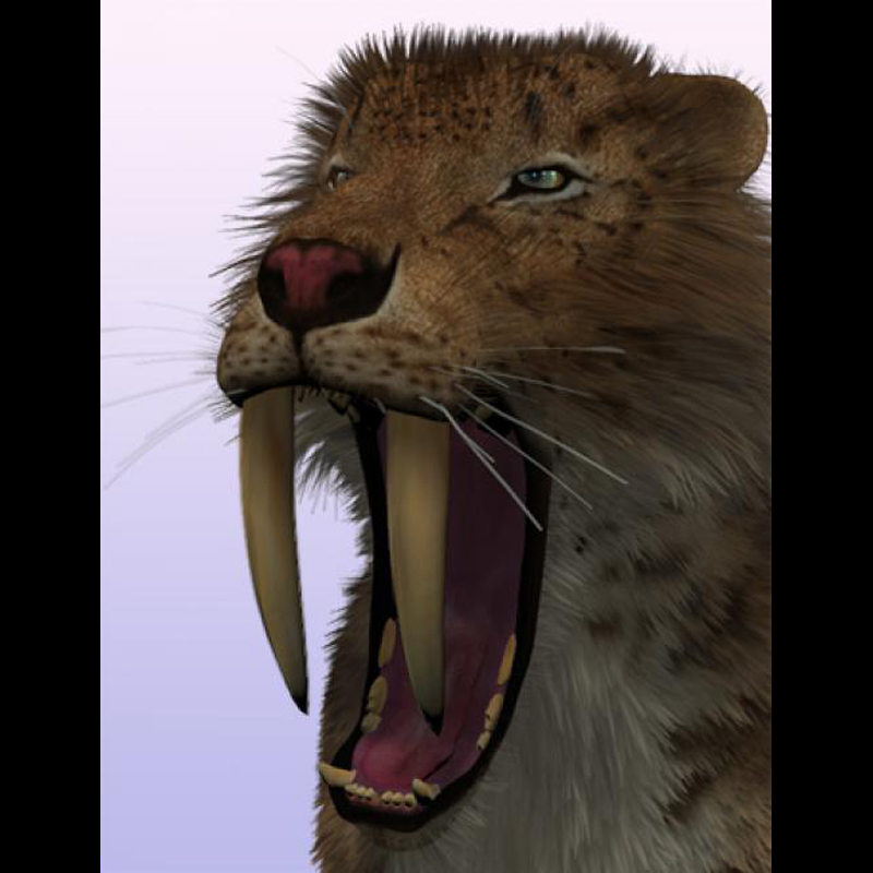 SaberTooth Reloaded by AM by N/A