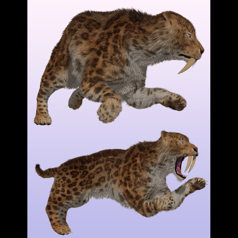 SaberTooth Reloaded by AM by N/A