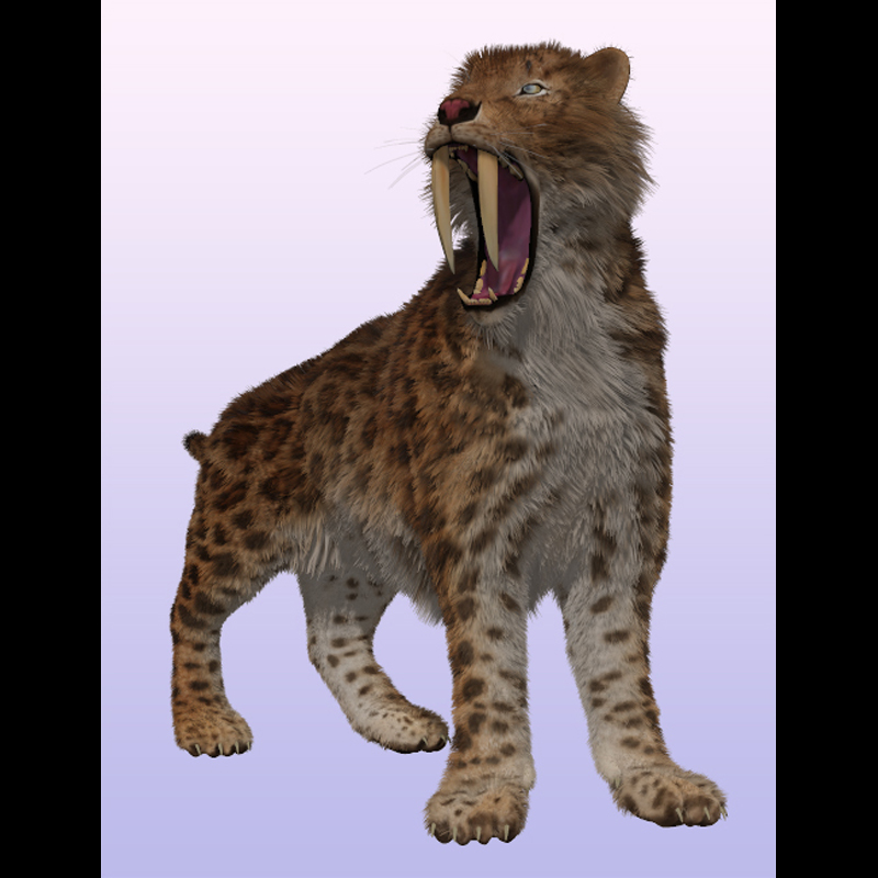 SaberTooth Reloaded by AM by N/A