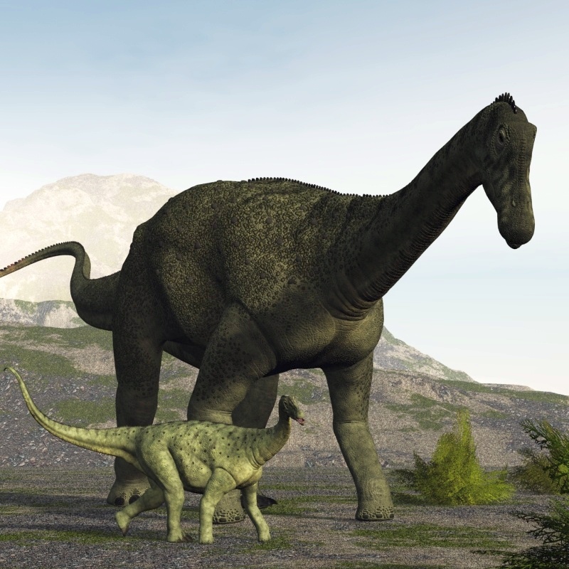 SaltasaurusDR by N/A