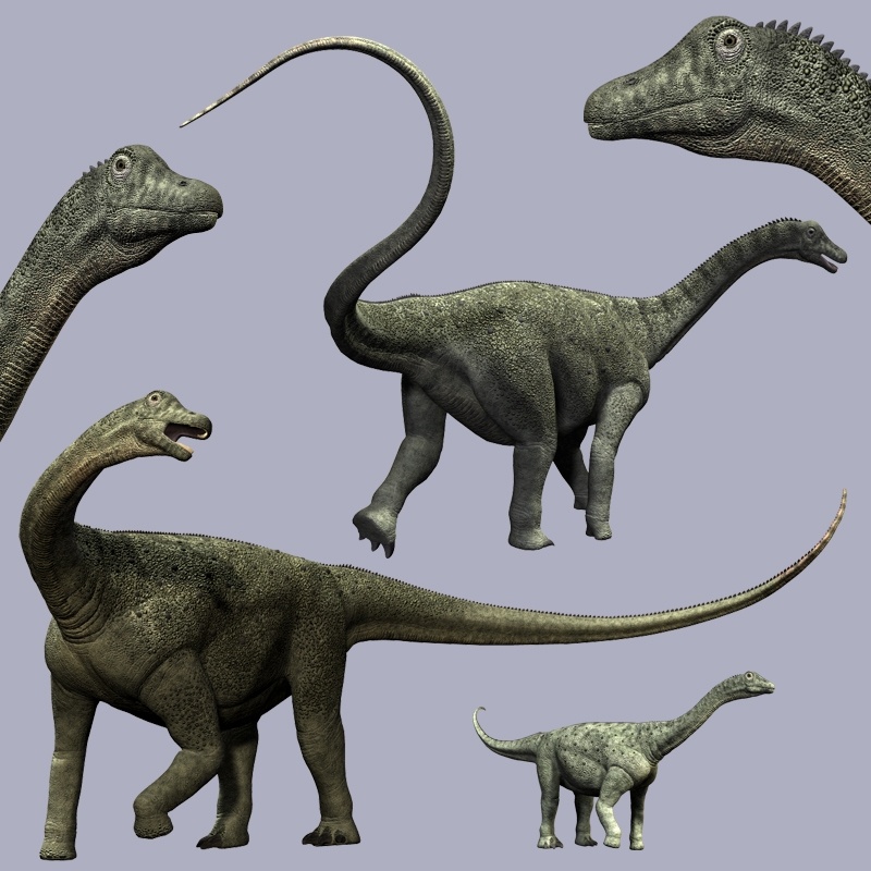 SaltasaurusDR by N/A
