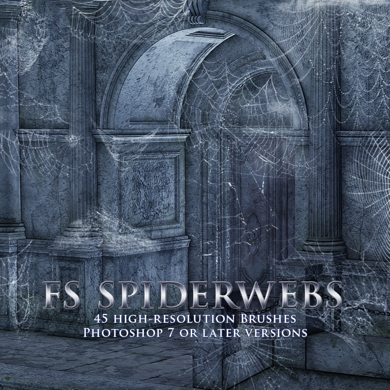 FS Spiderwebs by N/A