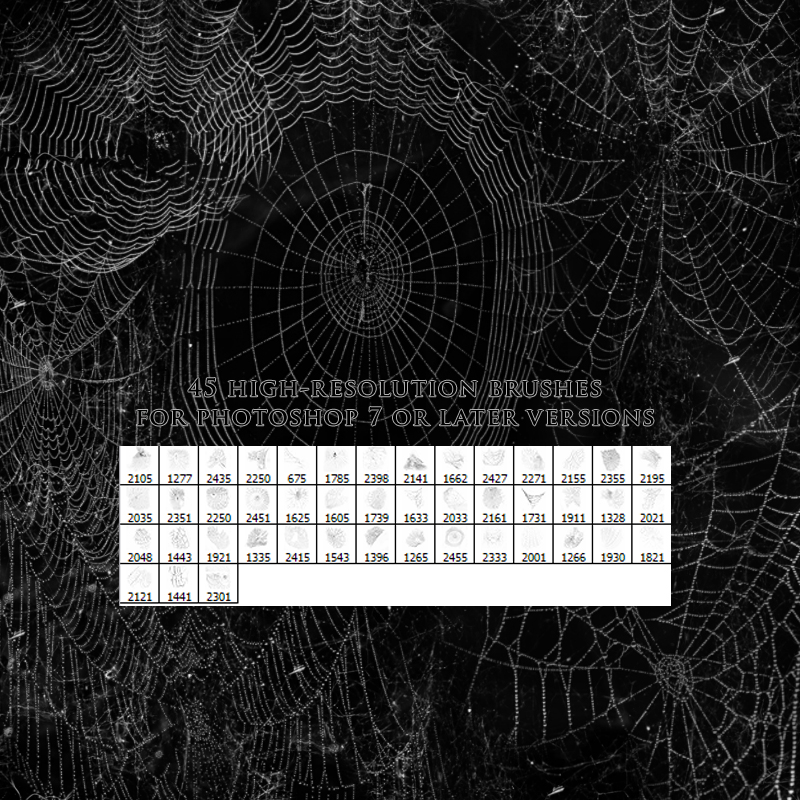 FS Spiderwebs by N/A