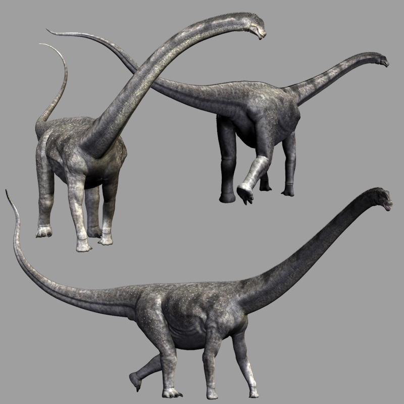 PuertasaurusDR by N/A