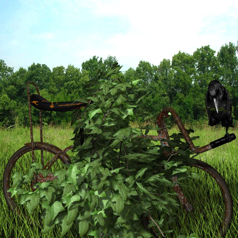 1960 s Bicycle for Poser by N/A