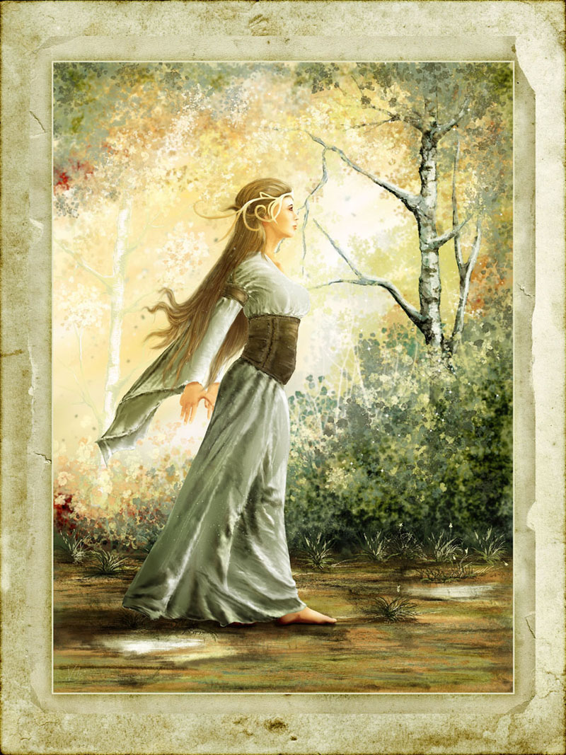 VT04 - Meadow by N/A