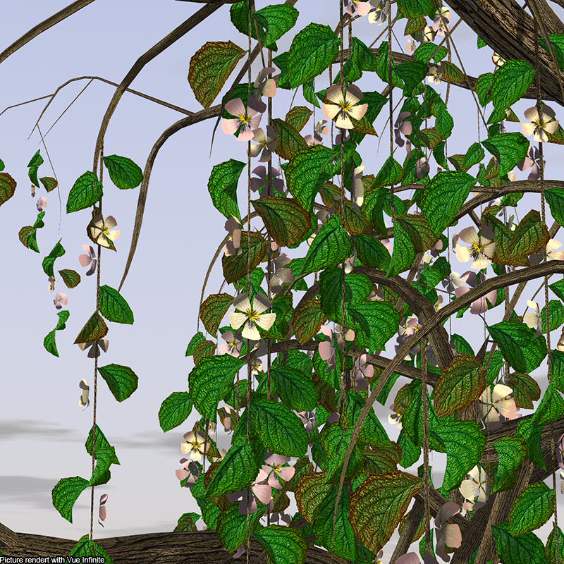 Flinks Blossom Tree 1+2 Bundle by N/A