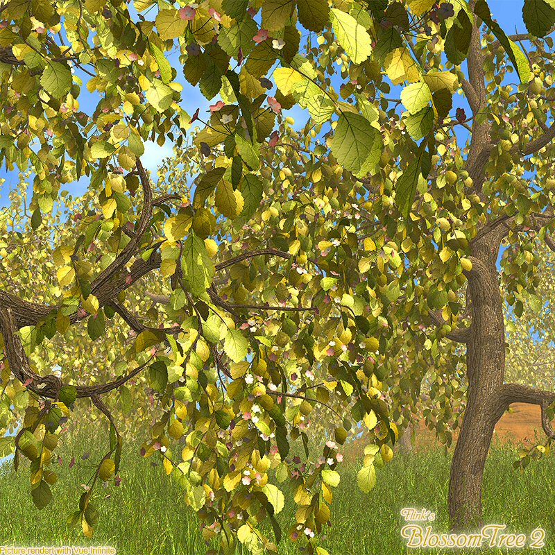 Flinks Blossom Tree 1+2 Bundle by N/A