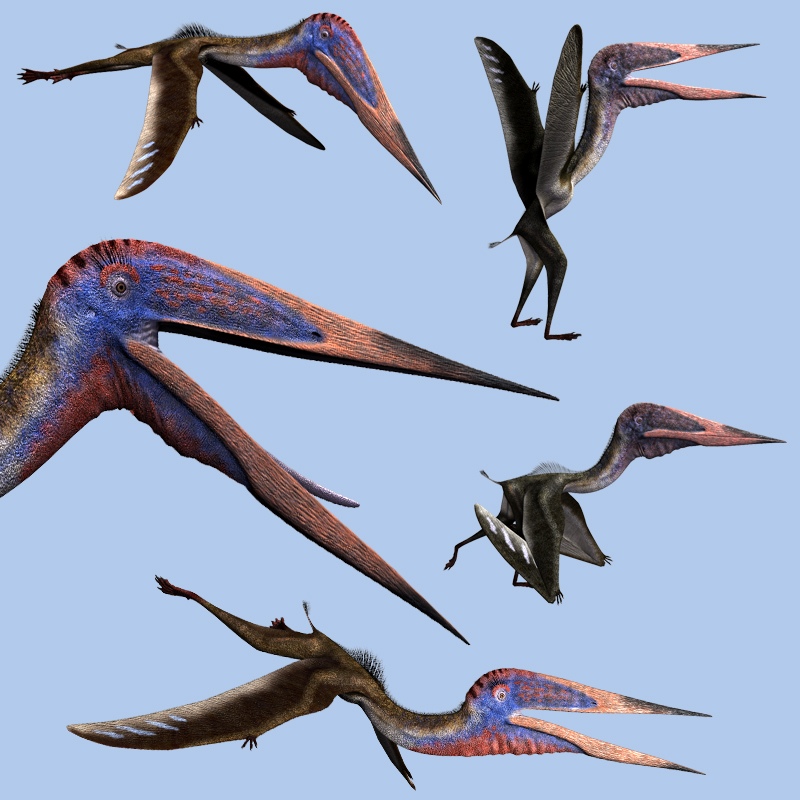 ZhejiangopterusDR by N/A