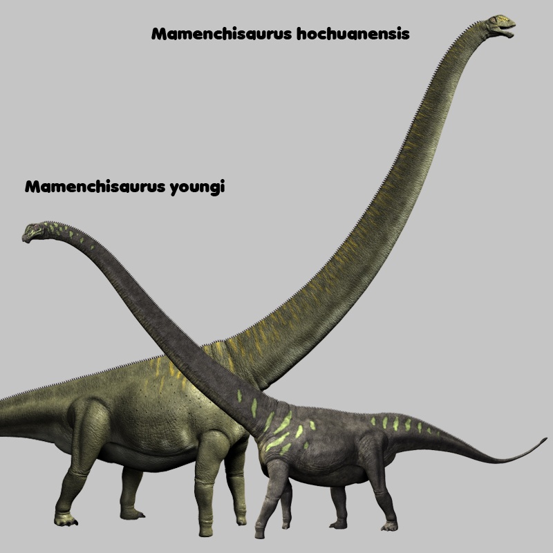 MamenchisaurusDR by N/A
