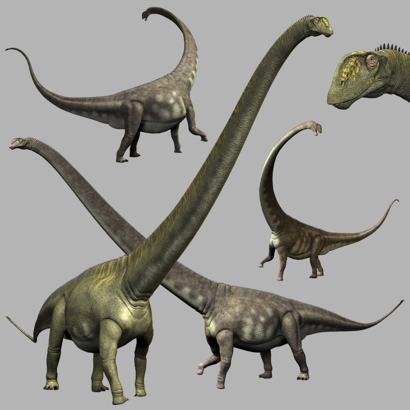 MamenchisaurusDR by N/A