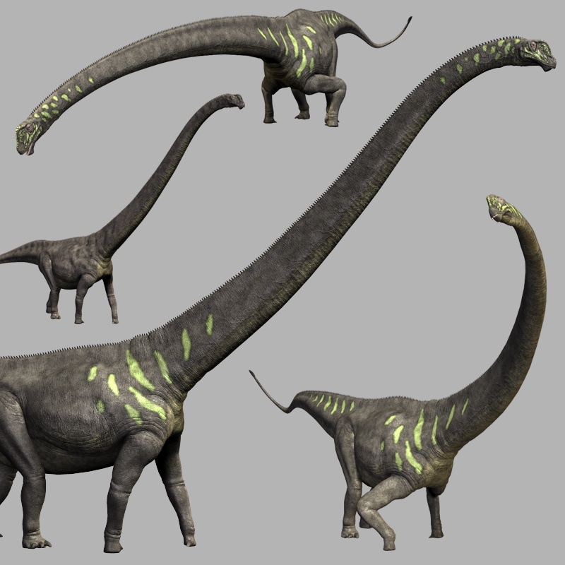 MamenchisaurusDR by N/A