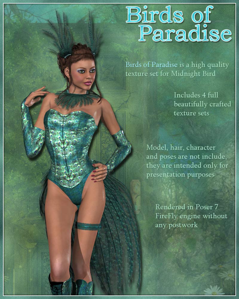 Birds of Paradise by N/A