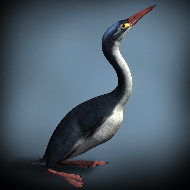 HesperornisDR by N/A