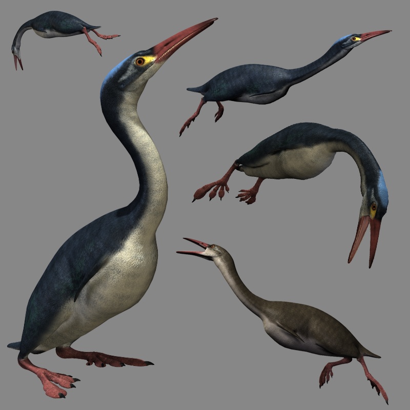 HesperornisDR by N/A